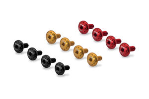 Viteria parafango posteriore Ducati 1199 Panigale R CNC Racing