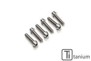 Kit viti piastra inferiore forcella M8x25 (6 pz) - Titanio CNC Racing