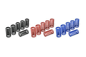 Molle frizione H45 - BMW CNC Racing