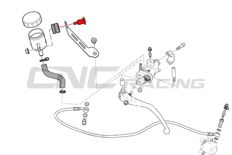 Vite vaschetta liquido freno anteriore/frizione
