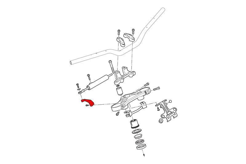 Steering damper bracket Ducati Streetfighter V4 - V2