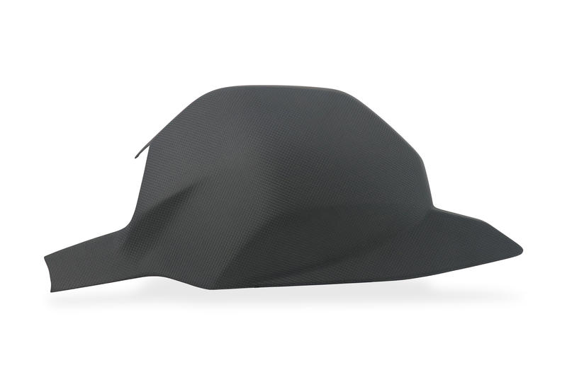 Cover forcellone Streetfighter V4 - carbonio