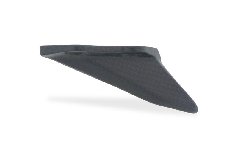 Paracatena inferiore Ducati Panigale V4 Streetfighter V4 - carbonio