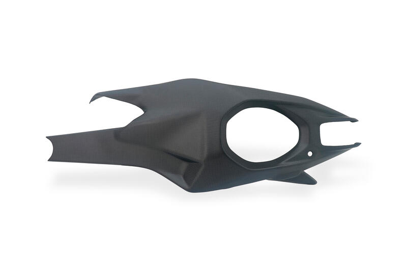 Carbon Swingarm Covers Left and Right &ndash; Ducati Panigale V4 / Streetfighter V4 2025