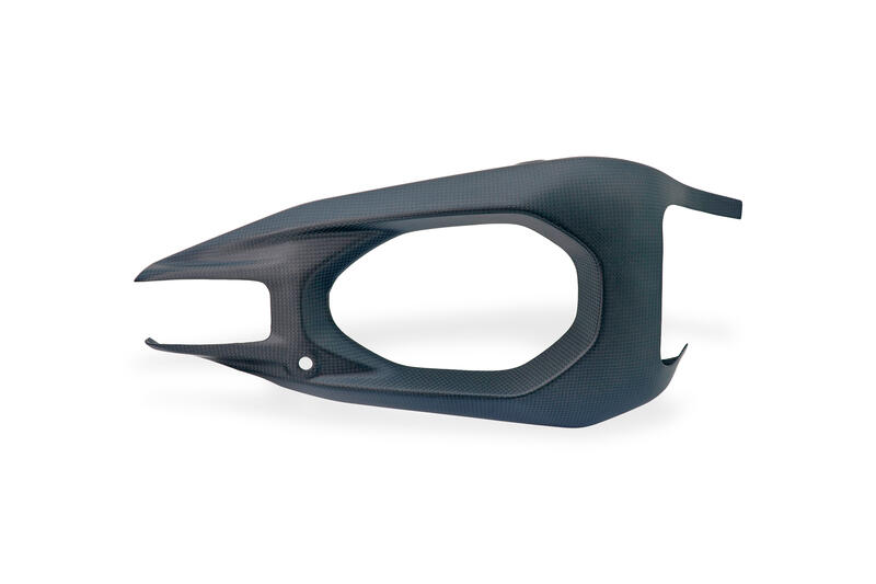 Carbon Swingarm Covers Left and Right &ndash; Ducati Panigale V4 / Streetfighter V4 2025