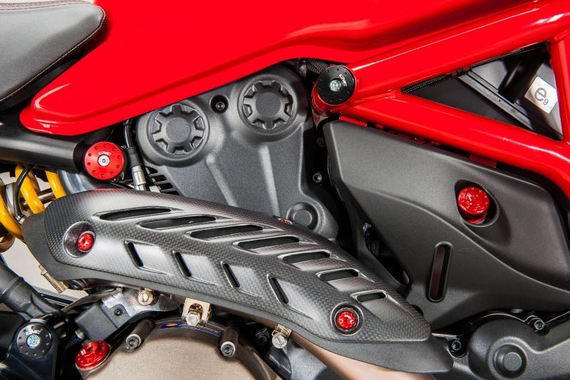 Protezione collettore Ducati Monster 821 1200
