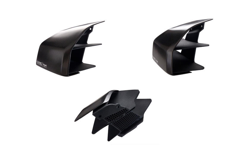 GP Winglets Ducati Streetfighter V4 - Carbon fiber