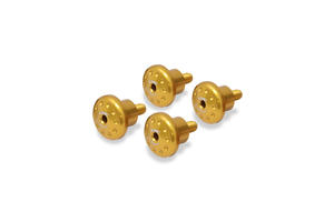 Screen screws Ducati DesertX Gold