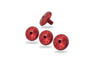 Kit viti cupolino Ducati Hyperstrada 821/939 <p>Rosso</p>