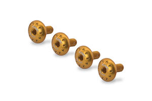 Kit viti paratacchi originali Ducati Panigale V-Twin Oro