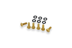Kit viti cupolino originale Ducati 6pz Oro