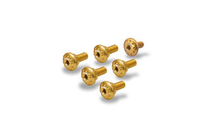 Kit Viti cover motore e vaso espansione Ducati Monster 937 Oro