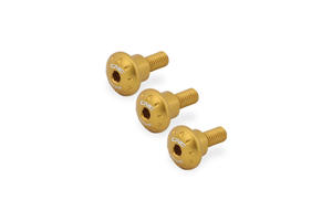 Frame side panels screw kit Ducati DesertX Gold