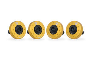 Borchie viti testa cilindro Moto Guzzi Oro