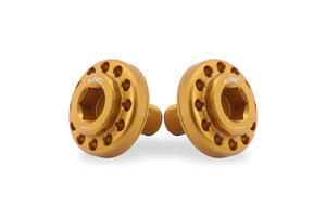 Kit viti centrali pedane originali Ducati Oro