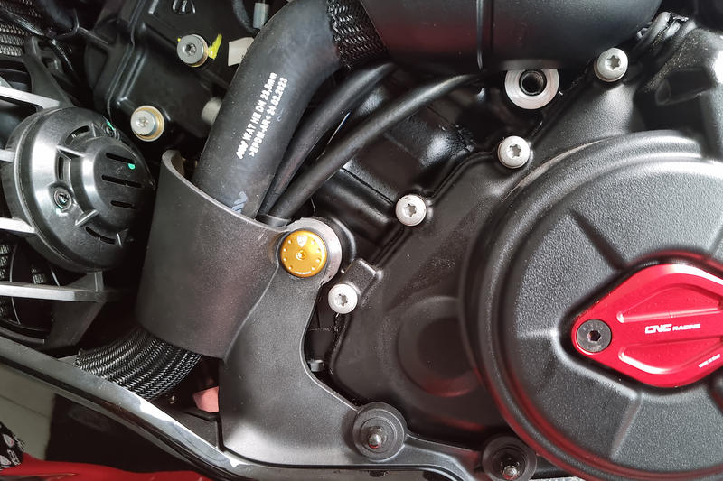 Vite supporto puntale sinistro Ducati Diavel V4 Oro